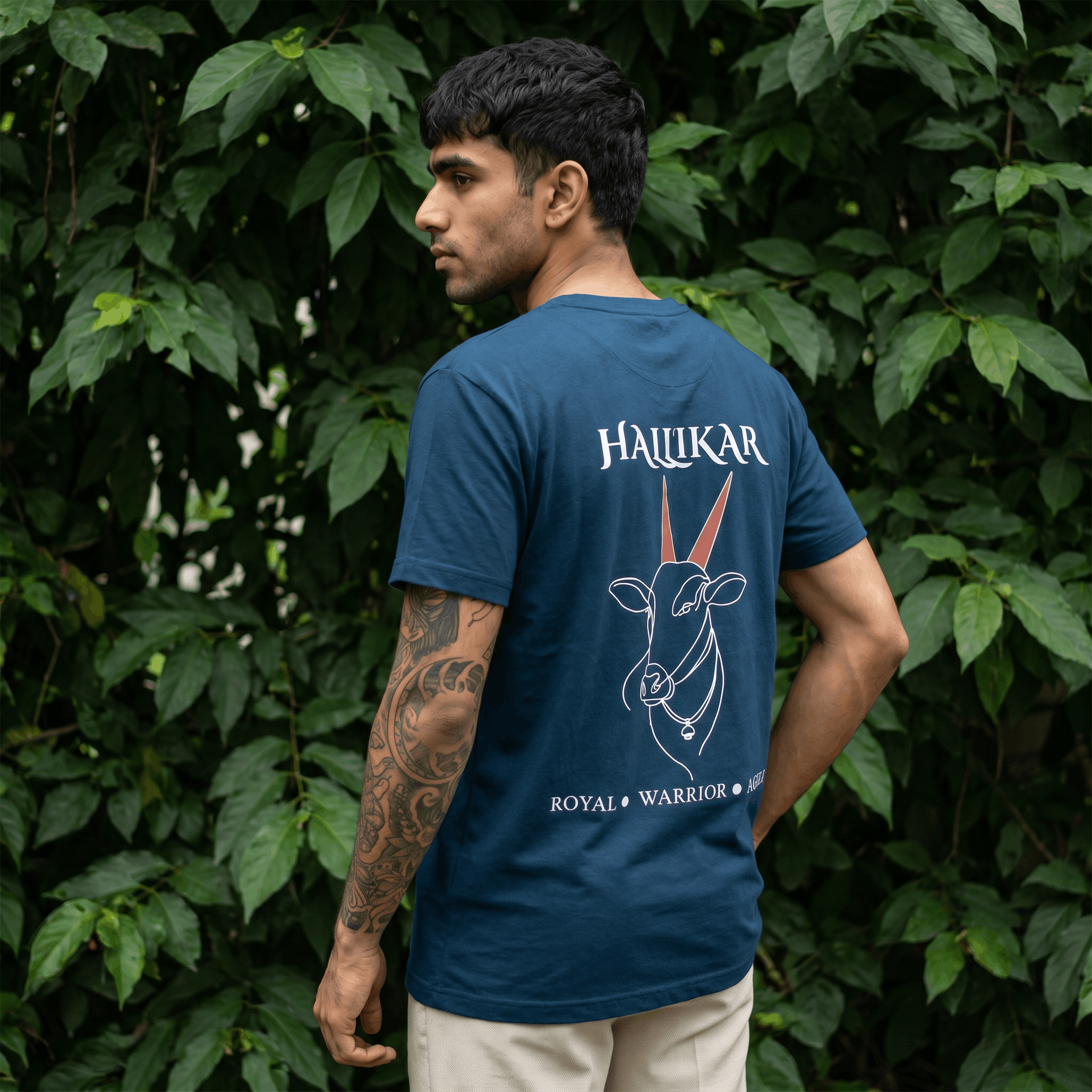 Hallikar — Back Design
